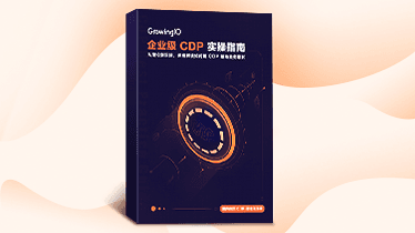 企业级 CDP 实操指南